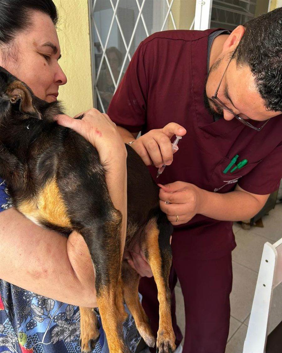 Dr. Anacleto de Souza aplicando vacina